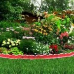 Flowers for Hanging Plants: Ek Sundar Guide