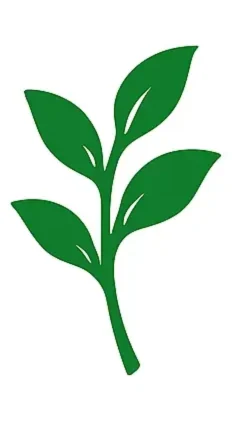 Best Blooming Plants | Low Maintenance Houseplants & Garden Tips