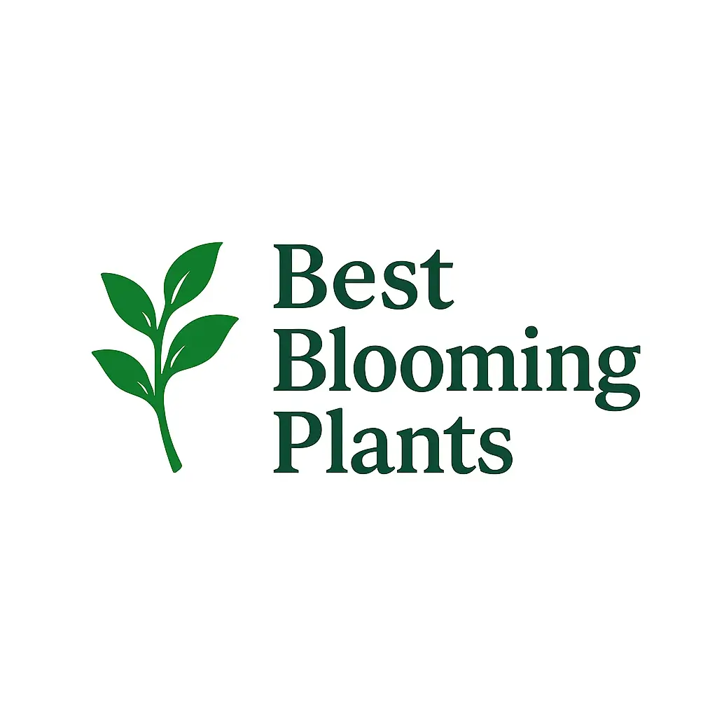 httpsbestbloomingplants.store