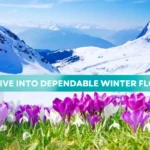 Deep Dive into Dependable Winter Flowers