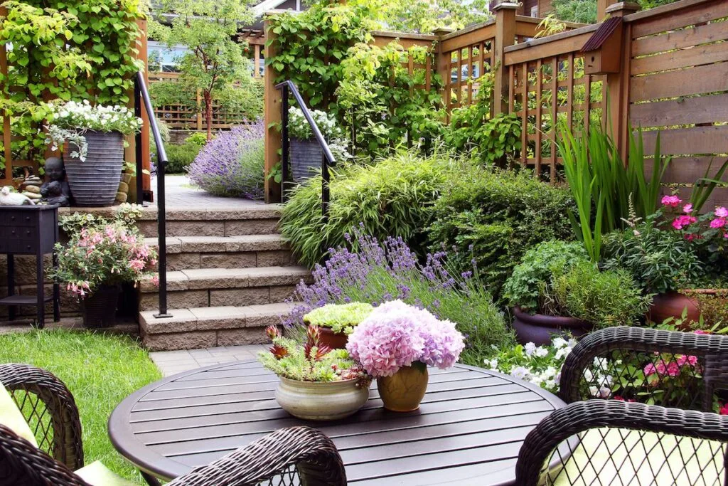 Patio Blooming Plants: Bringing Beauty to Your Outdoor Spaces