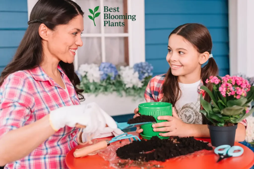 Teaching Kids About Blooming Plants – Fun & Easy Projects