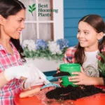 Teaching Kids About Blooming Plants – Fun & Easy Projects