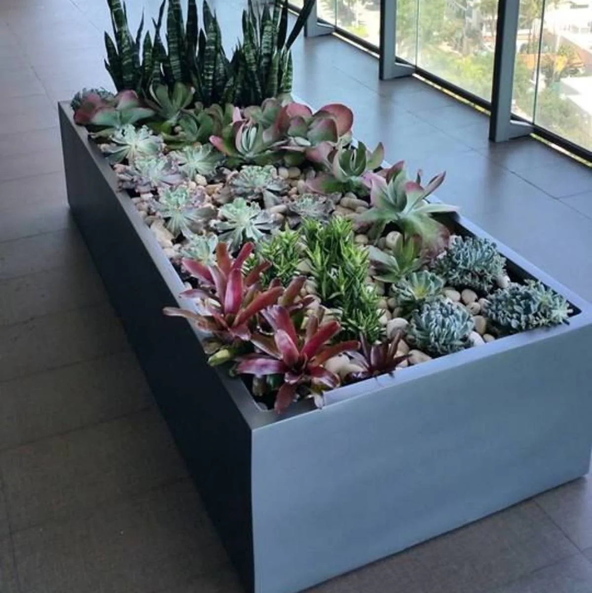 The Wonderful World of Rectangle Planters