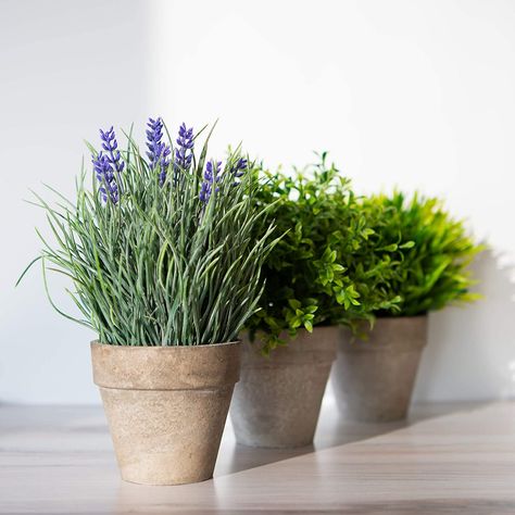 Beautiful Spaces with Planters and Fake Plants Beautiful Spaces with Planters and Fake Plants