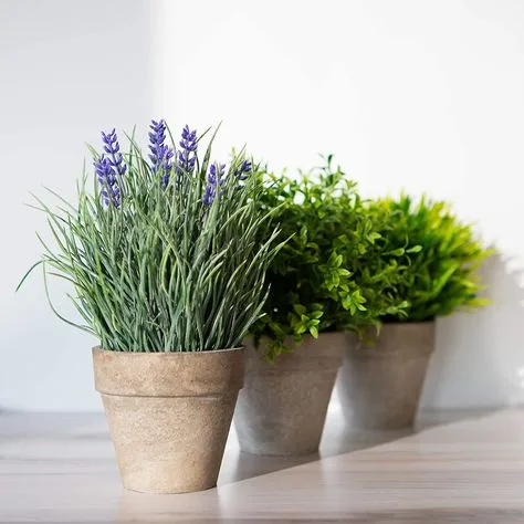 Beautiful Spaces with Planters and Fake Plants
