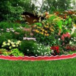 Flowers for Hanging Plants: Ek Sundar Guide