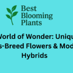 A World of Wonder: Unique Cross Breed Flowers & Modern Hybrids