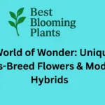 A World of Wonder: Unique Cross Breed Flowers & Modern Hybrids