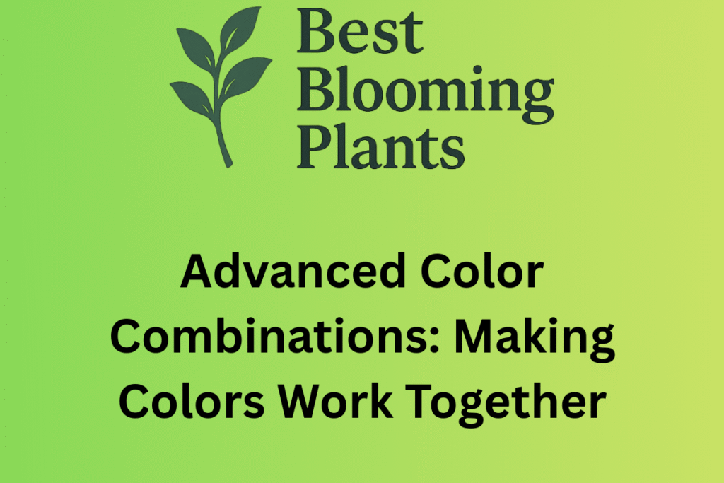 Advanced Color Combinations: Making Colors Work Together
