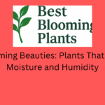 Blooming Beauties: Plants That Love Moisture and Humidity