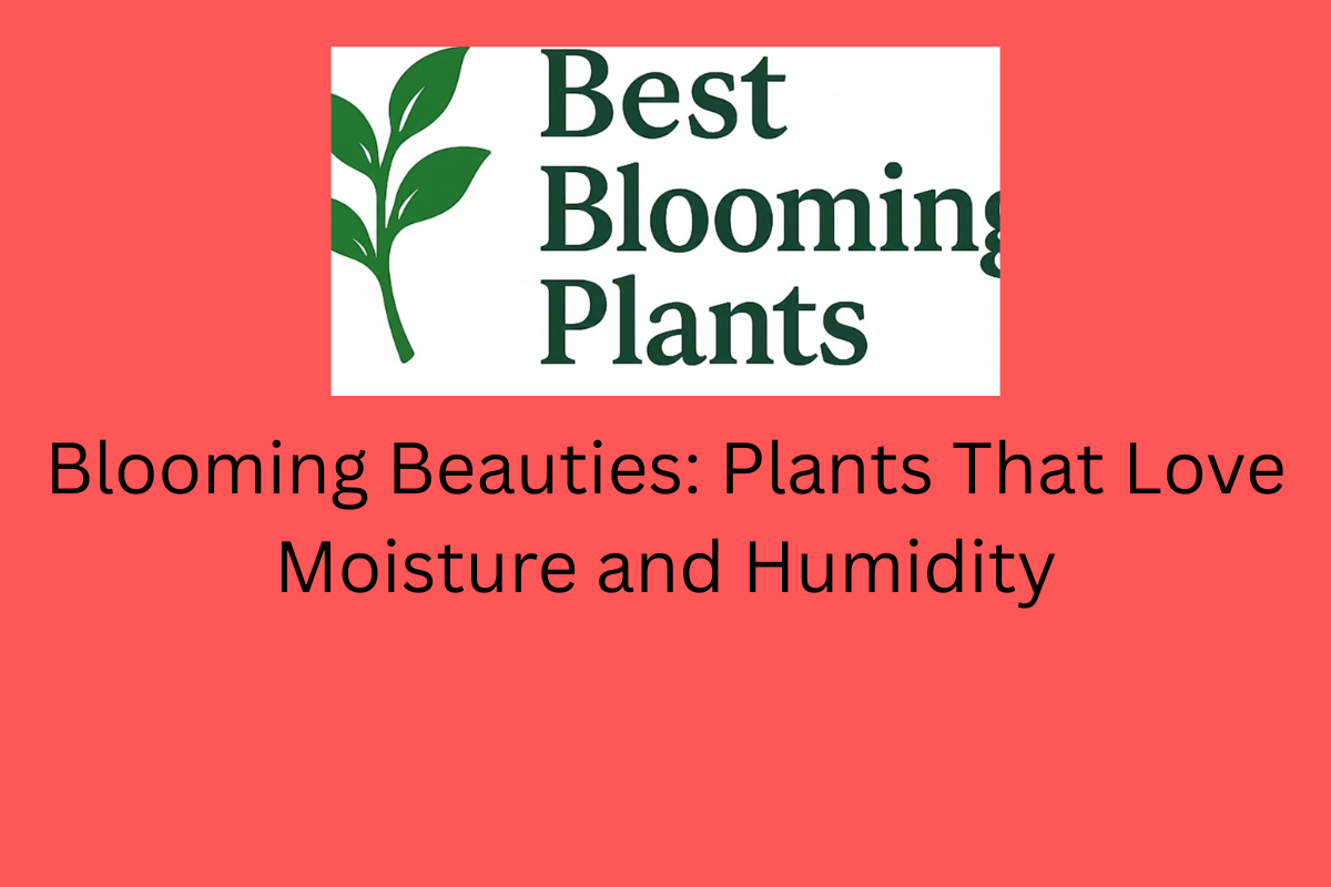 Blooming Beauties: Plants That Love Moisture and Humidity