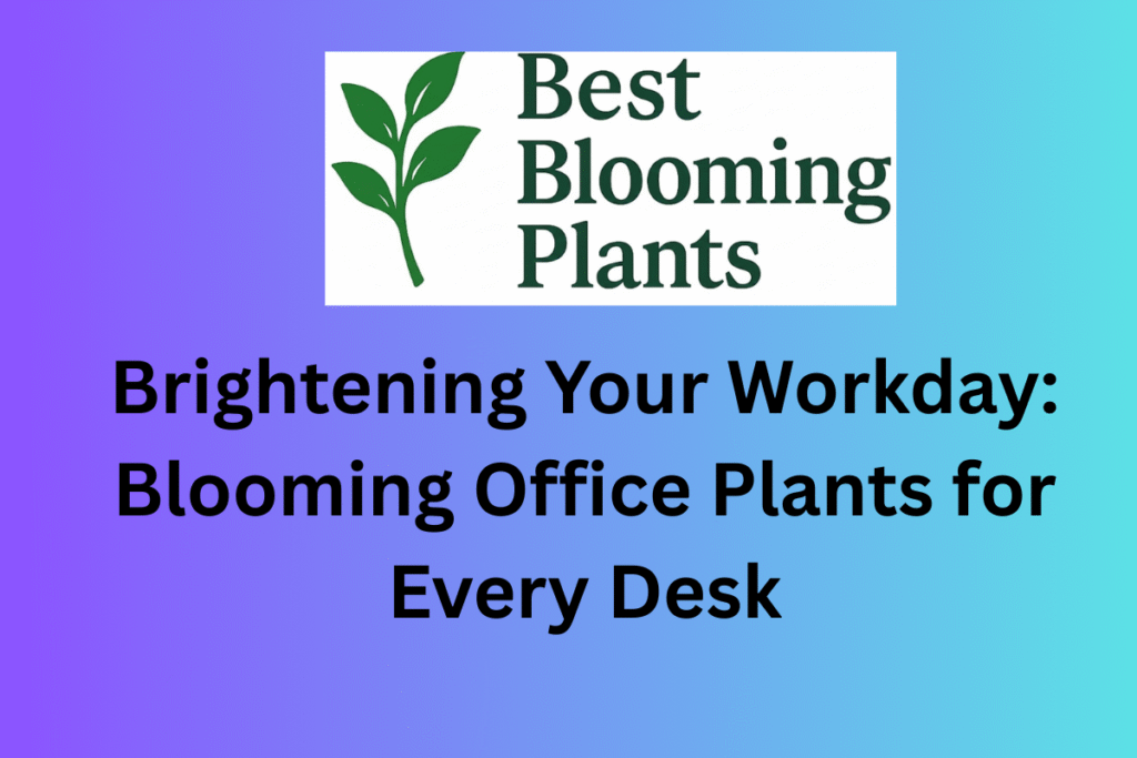 Brightening Your Workday: Blooming Office Plants for Every Desk