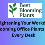 Brightening Your Workday: Blooming Office Plants for Every Desk