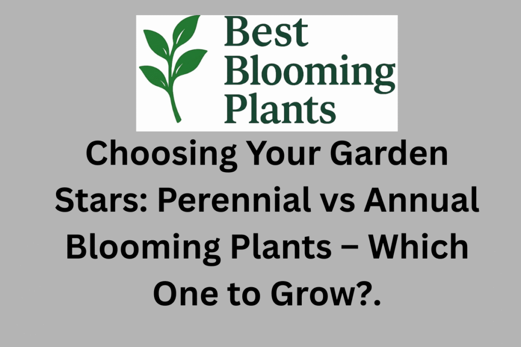 Choosing Your Garden Stars: Perennial vs Annual Blooming Plants – Which One to Grow?.