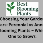 Choosing Your Garden Stars: Perennial vs Annual Blooming Plants – Which One to Grow?.