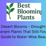 Desert Blooms – Drought-Tolerant Plants That Still Flower: A Guide to Water-Wise Beauty
