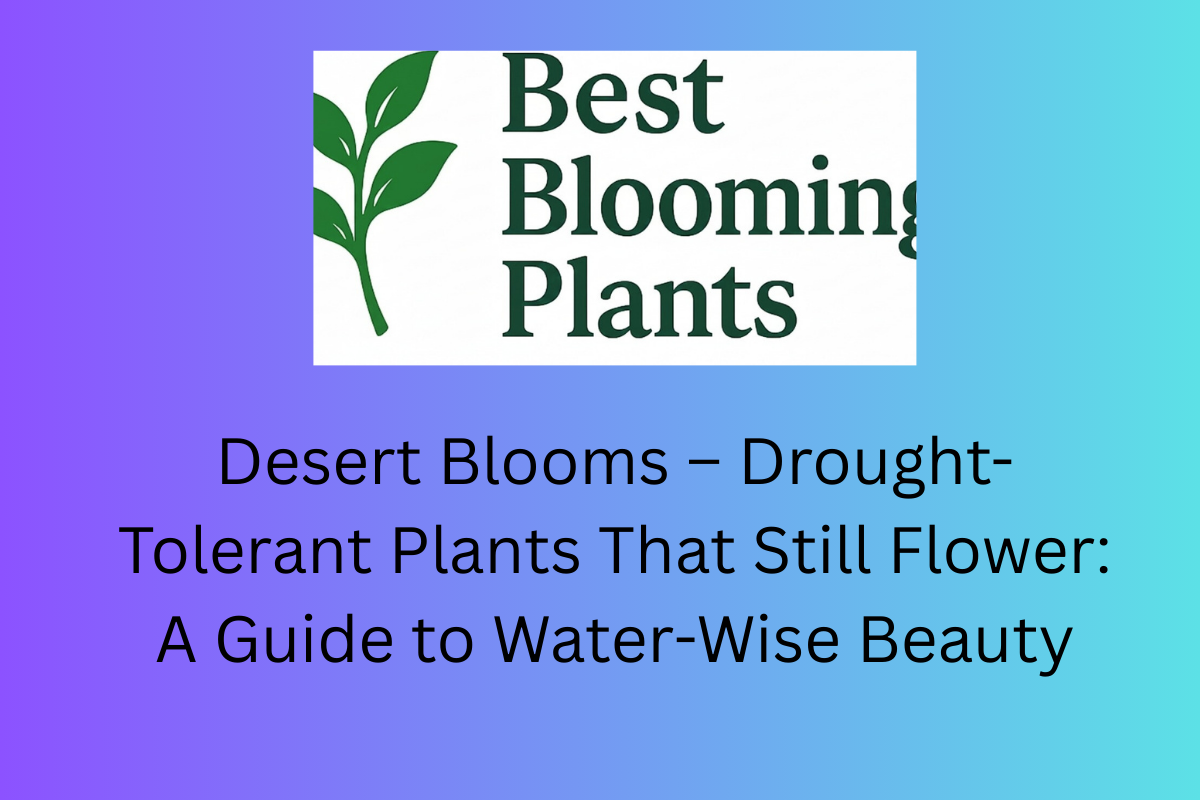 Desert Blooms – Drought-Tolerant Plants That Still Flower: A Guide to Water-Wise Beauty