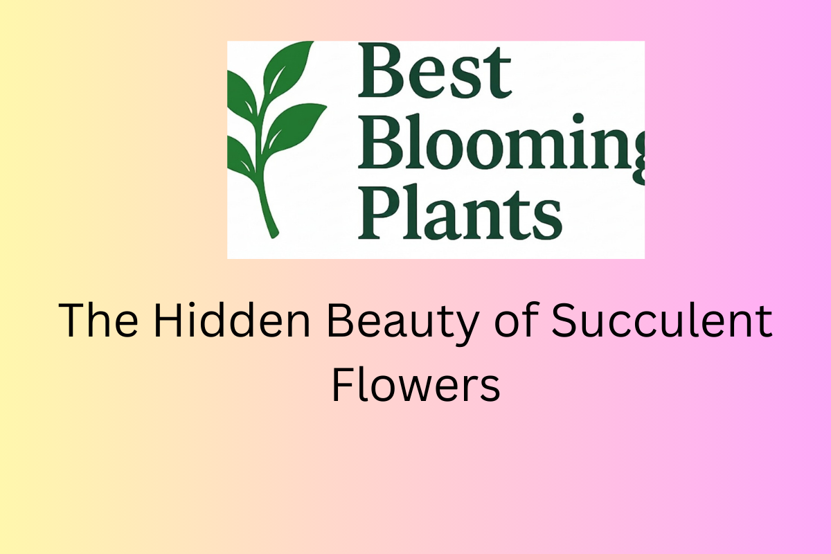 The Hidden Beauty of Succulent Flowers