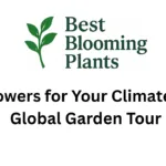 Flowers for Your Climate: A Global Garden Tour