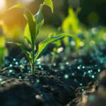 How to Use Plant Augmented Reality to ID & Design Your Dream Garden