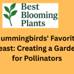 Hummingbirds' Favorite Feast: Creating a Garden for Pollinators
