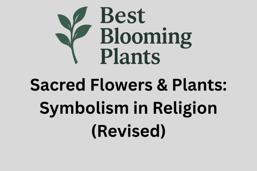 Sacred Flowers & Plants: Symbolism in Religion (Revised)
