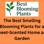 The Best Smelling Blooming Plants for a Sweet-Scented Home and Garden