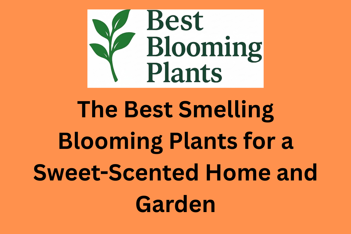 The Best Smelling Blooming Plants for a Sweet-Scented Home and Garden