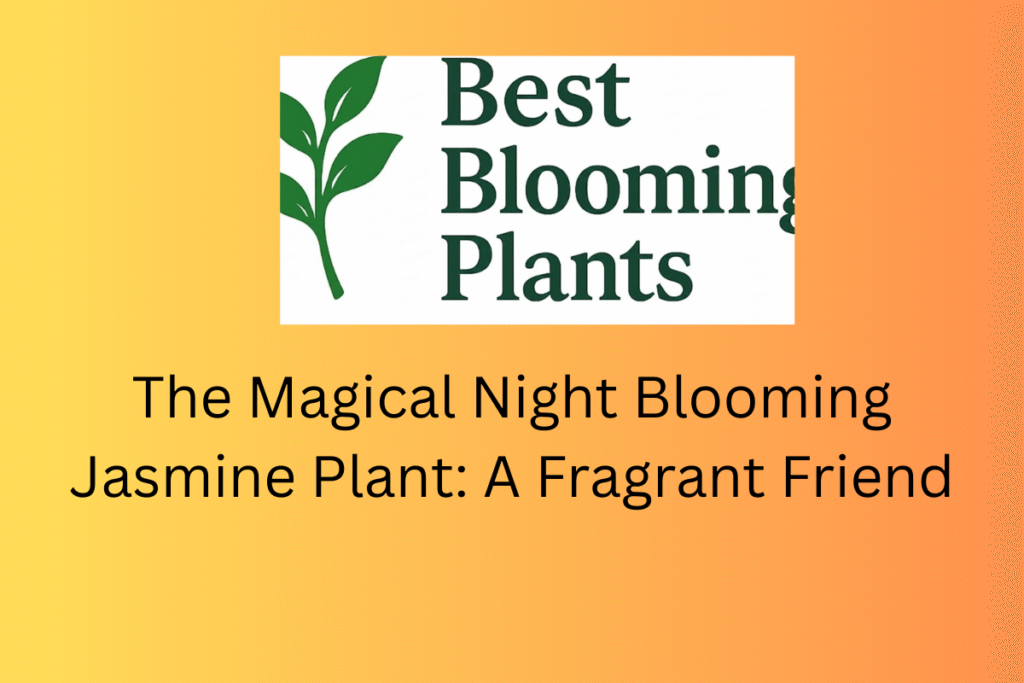 The Magical Night Blooming Jasmine Plant: A Fragrant Friend