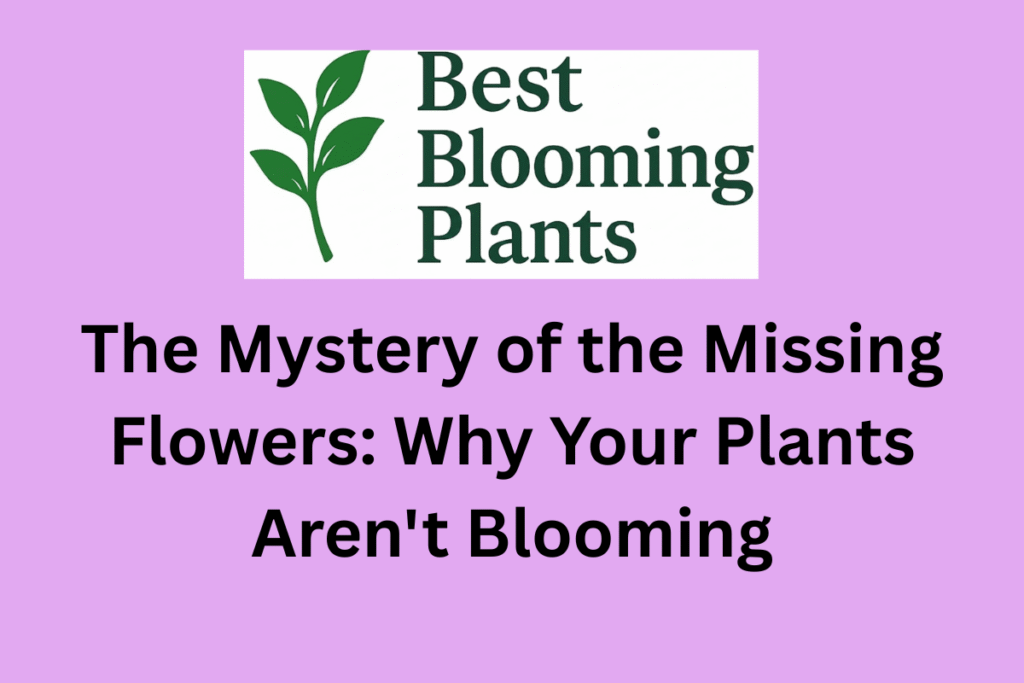 The Mystery of the Missing Flowers: Why Your Plants Aren't Blooming
