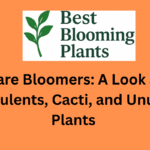 Rare Bloomers: A Look at Succulents, Cacti, and Unusual Plants