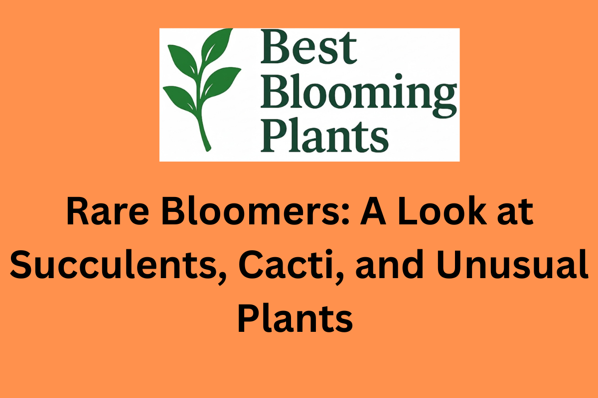 Rare Bloomers: A Look at Succulents, Cacti, and Unusual Plants