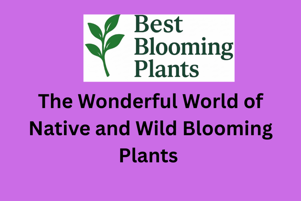 The Wonderful World of Native and Wild Blooming Plants