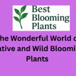 The Wonderful World of Native and Wild Blooming Plants