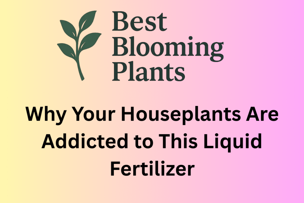 Why Your Houseplants Are Addicted to This Liquid Fertilizer