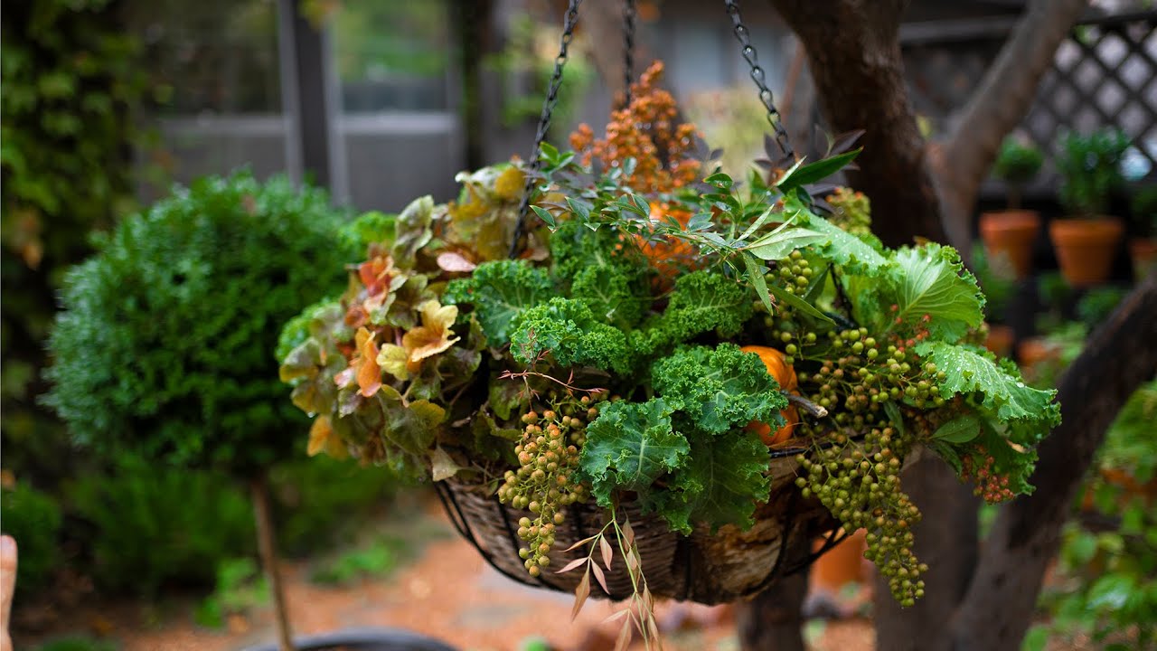 The Ultimate Guide to Hanging Flower Basket Plants