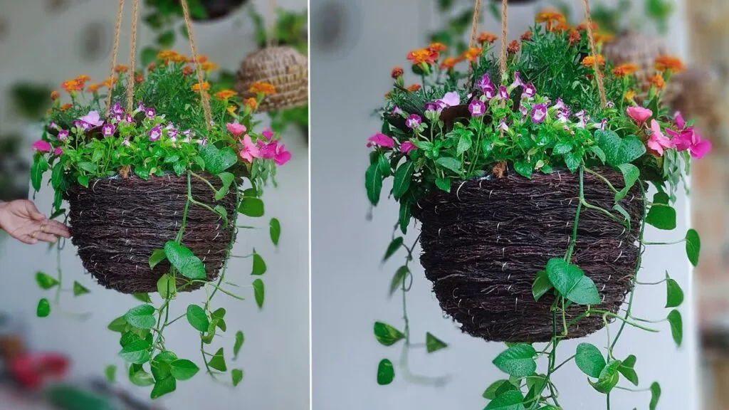The Ultimate Guide to Hanging Flower Basket Plants