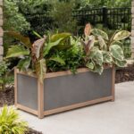 The Wonderful World of Rectangle Planters