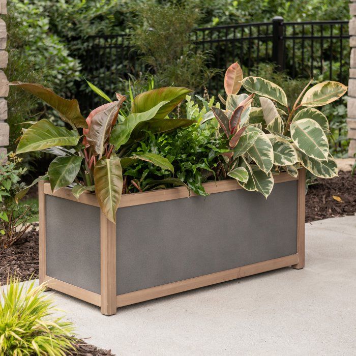 The Wonderful World of Rectangle Planters