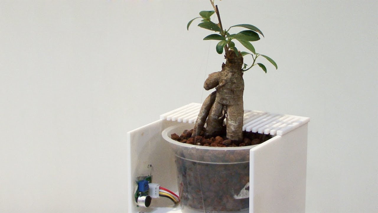 How to Use Plant Augmented Reality to ID & Design Your Dream Garden