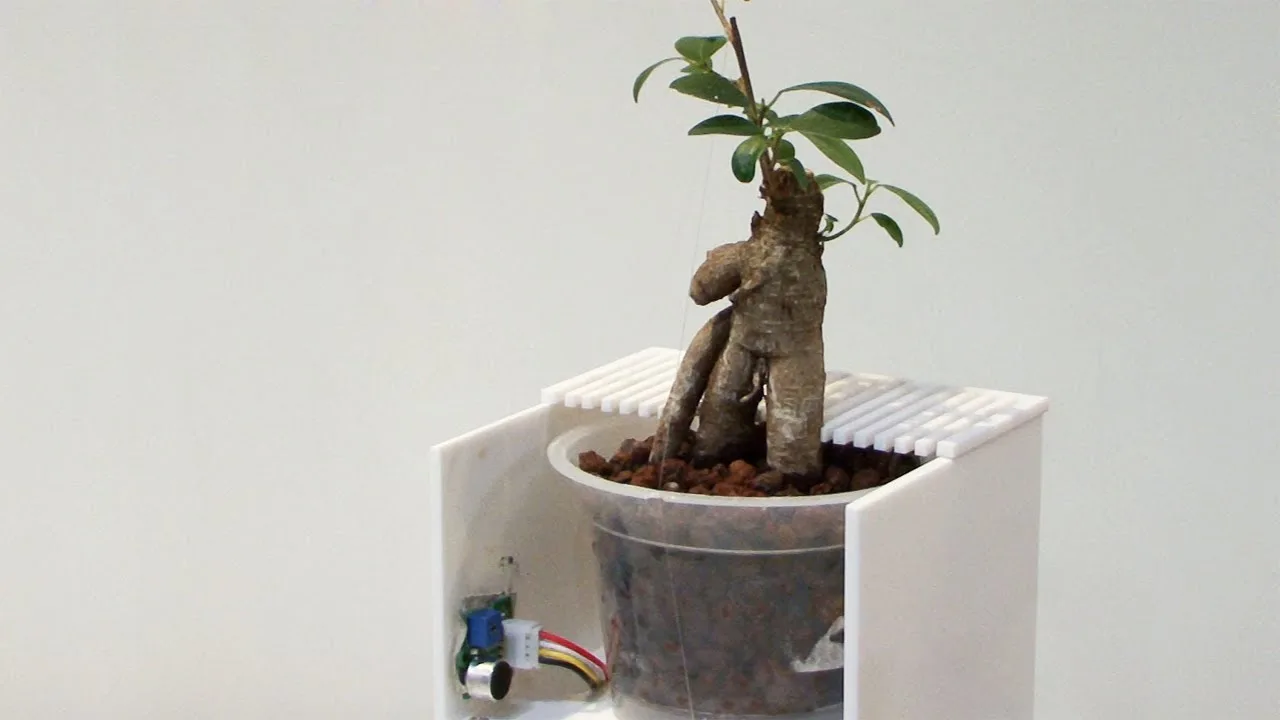 How to Use Plant Augmented Reality to ID & Design Your Dream Garden