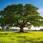 How to Plant a Tree: A Simple Guide for Every Nature Lover