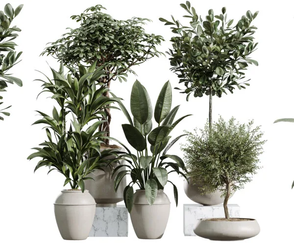 The Ultimate Long Guide to Indoor Greenery
