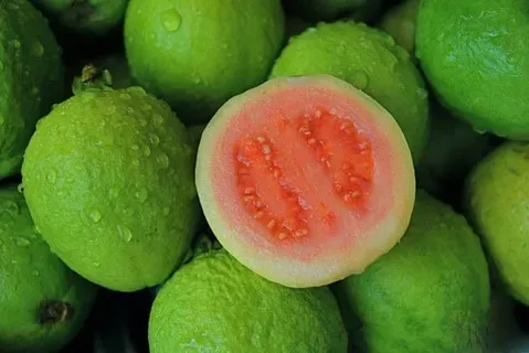 The Ultimate Guide to Guava: Nature’s Sweet Tropical Gift 