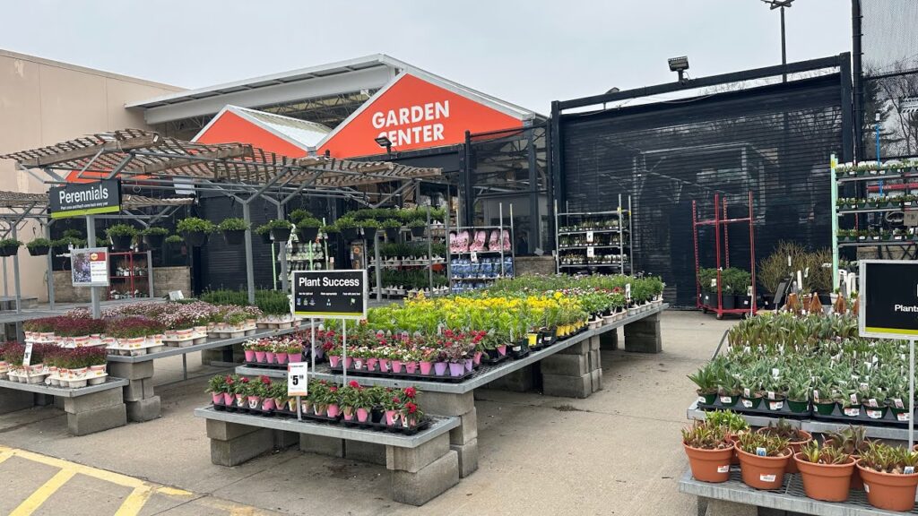 Choosing Great Home Depot Plants
