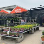 Choosing Great Home Depot Plants