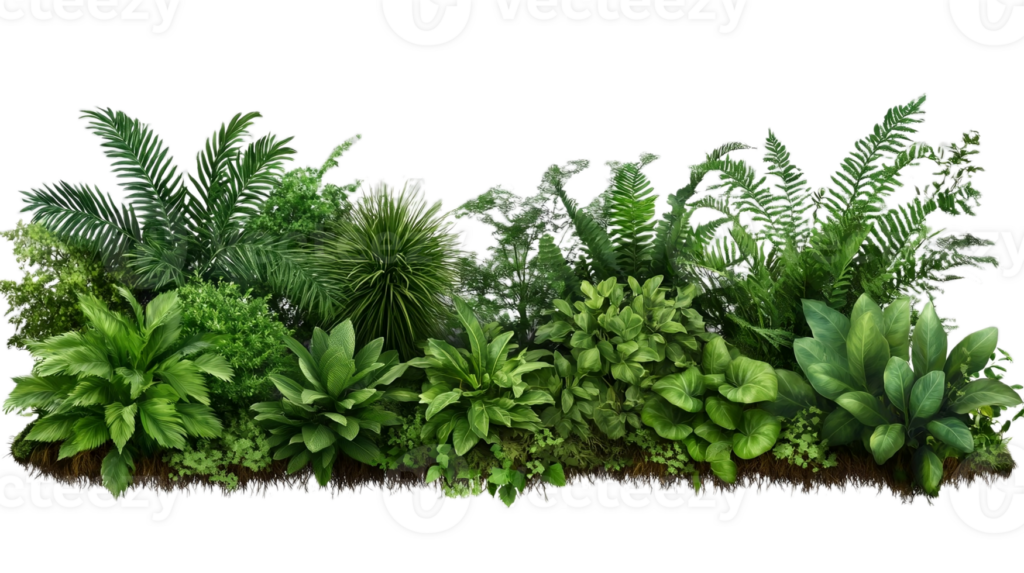 How to Plant a Tree: A Simple Guide for Every Nature Lover