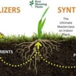 Comprehensive guide to indoor plant fertilizers, potting soil mix, and NPK nutrients for houseplants