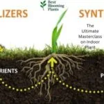 Comprehensive guide to indoor plant fertilizers, potting soil mix, and NPK nutrients for houseplants